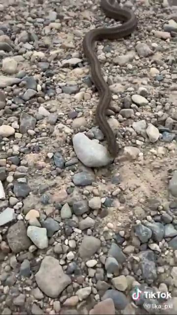 #дубай смотреть онлайн