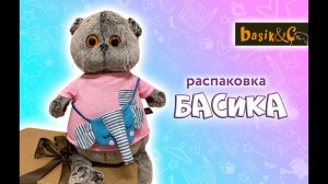 РАСПАКОВКА БАСИКА / БАСИК В РОЗОВОЙ МАЙКЕ С КАРМАНОМ #басики #басик #милыекоты
