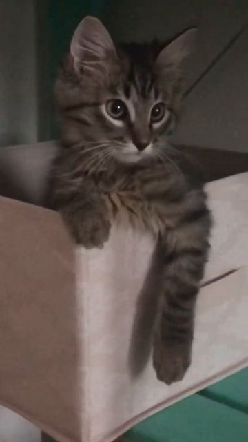 🥰🥰🥰 смотреть онлайн