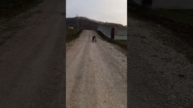 кукушка макушка(1) смотреть онлайн
