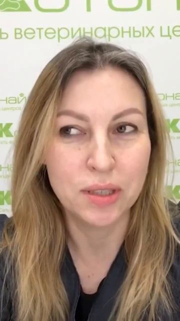 симптомы рвоты и диареи у щенков и котят смотреть онлайн