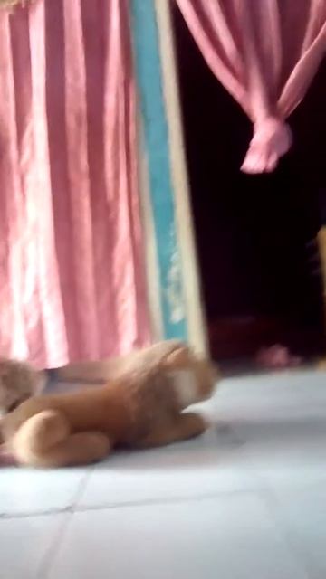 Anjing sange смотреть онлайн