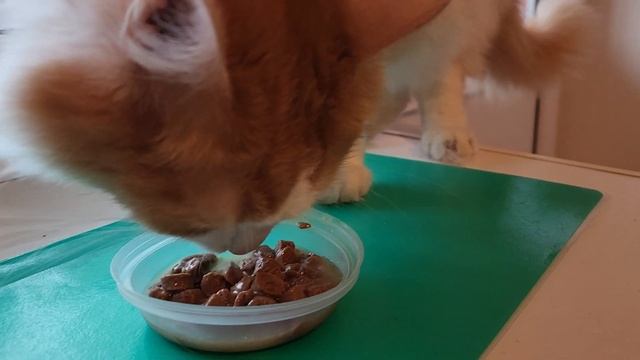 Амурчик и куриный Darsi смотреть онлайн