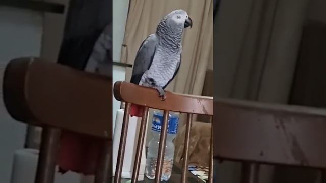 сознается, что кусает больно смотреть онлайн