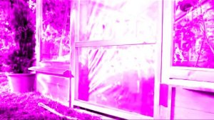 Аdvertising  Реклама Китикет Kitekat   Борис поймал пчелу In 4ormulator V6