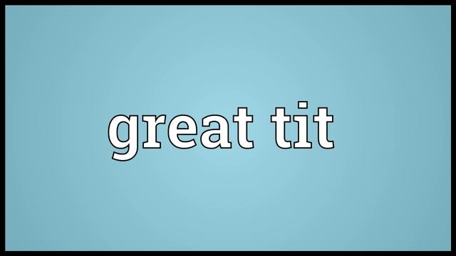 Great tit Meaning смотреть онлайн