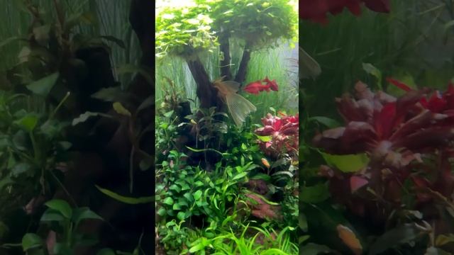 7 мая 2024 г. смотреть онлайн