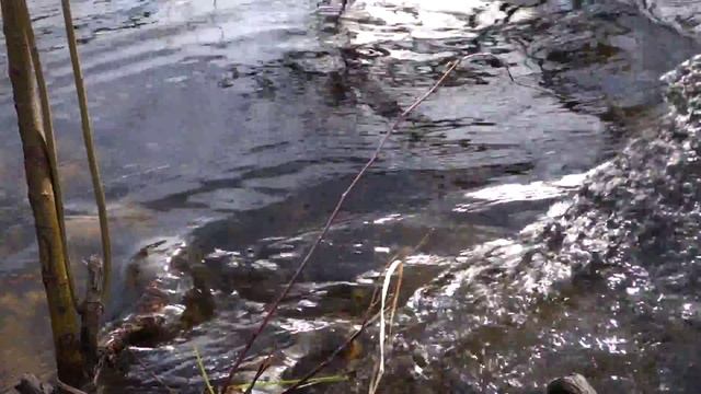 Original. File. Source 9. Sound of Water смотреть онлайн