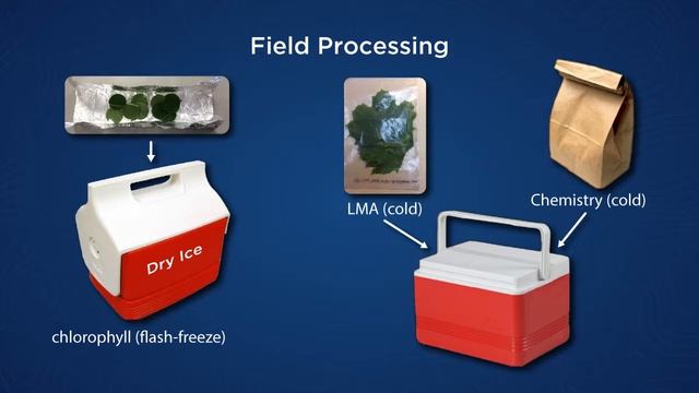 NEON Foliar Chemistry, Soil Chemistry and Microbial Data: A Presentation смотреть онлайн