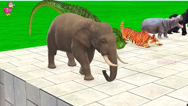 Prehistoric Mammals vs Modern Animals Giant Elephant vs Woolly Mammoth Mastodon Animal Epic Battle смотреть онлайн