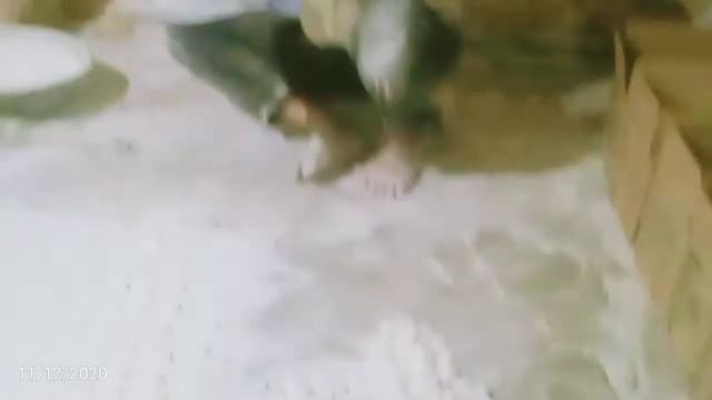 Batisa banane ki resapi смотреть онлайн