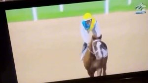 Скачки | Кабирхан | Қазақ жанкүйерлерінің реакциясы |2024 26-яньваря Скачки в Дубае поведа Кабирхан