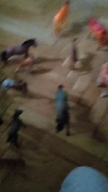 все мои лошади дома. Есть большие есть маленькие. смотреть онлайн