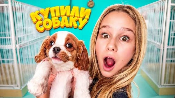 МОЯ МЕЧТА СБЫЛАСЬ // EVA mash