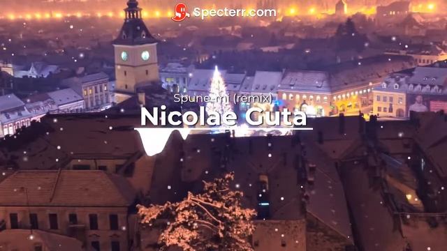 Nicolae Guta - Spune-mi (remix) NEW смотреть онлайн