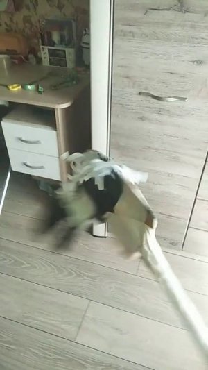 19 июля 2024 г.