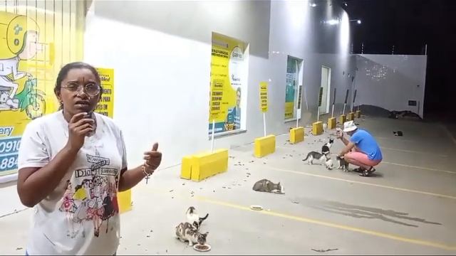 Vídeo 2 - #emotional defesa dos animais смотреть онлайн
