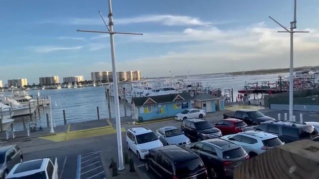 We Ate Everything at Brotula's Seafood House! смотреть онлайн