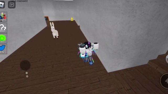 новый морф в [😱NEW] Backrooms Morph смотреть онлайн