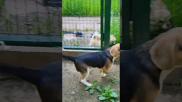 Прогулка Няши 07 01-02 2024 смотреть онлайн