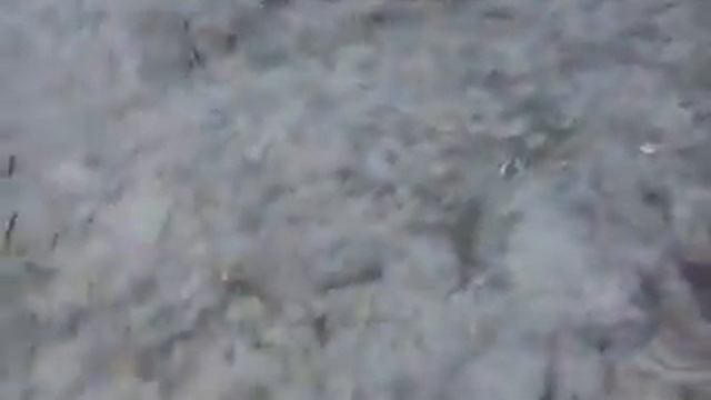 финти з голами смотреть онлайн