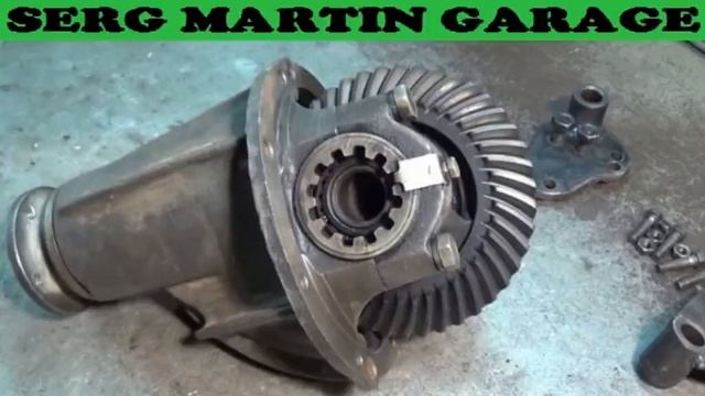 Animal Adventure Club