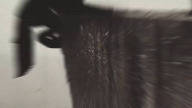 wcmv °vent° смотреть онлайн