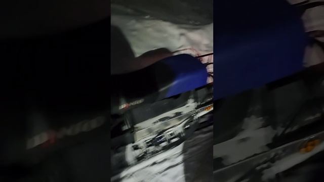 Завершение двух дневной мороки! Динго едет смотреть онлайн