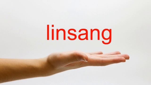 How to Pronounce linsang - American English смотреть онлайн