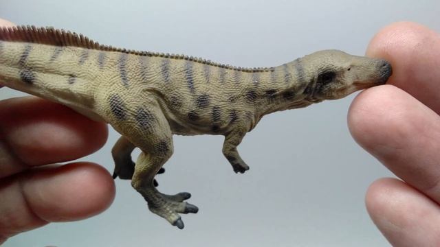 2021 Collecta Megalosaurus Review!!!