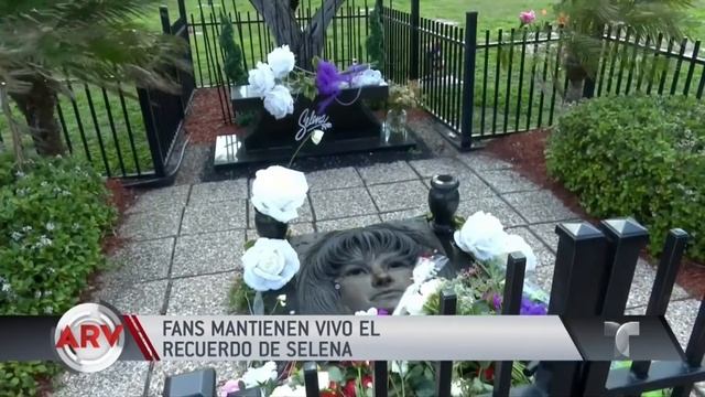 Famosos Al Rojo Vivo: Resumen de farándula de hoy | Al Rojo Vivo | Telemundo смотреть онлайн