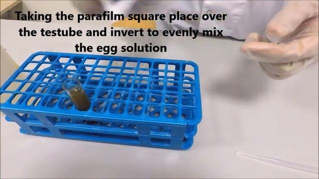 McMaster and flotation technique смотреть онлайн