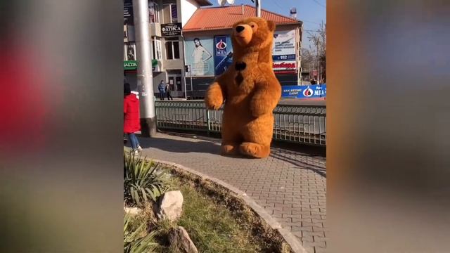 ПРАНК С МИШКОЙ !!! смотреть онлайн