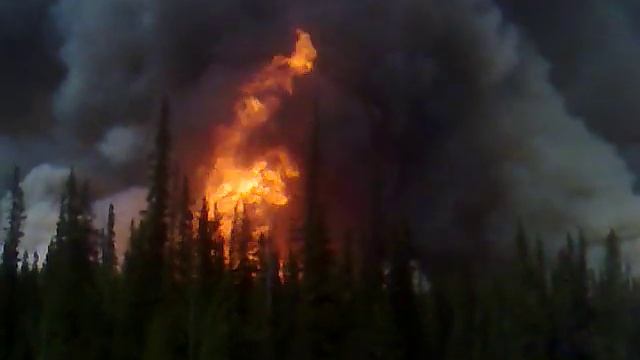 Forest fire in Banff National Park, AB, Canada смотреть онлайн