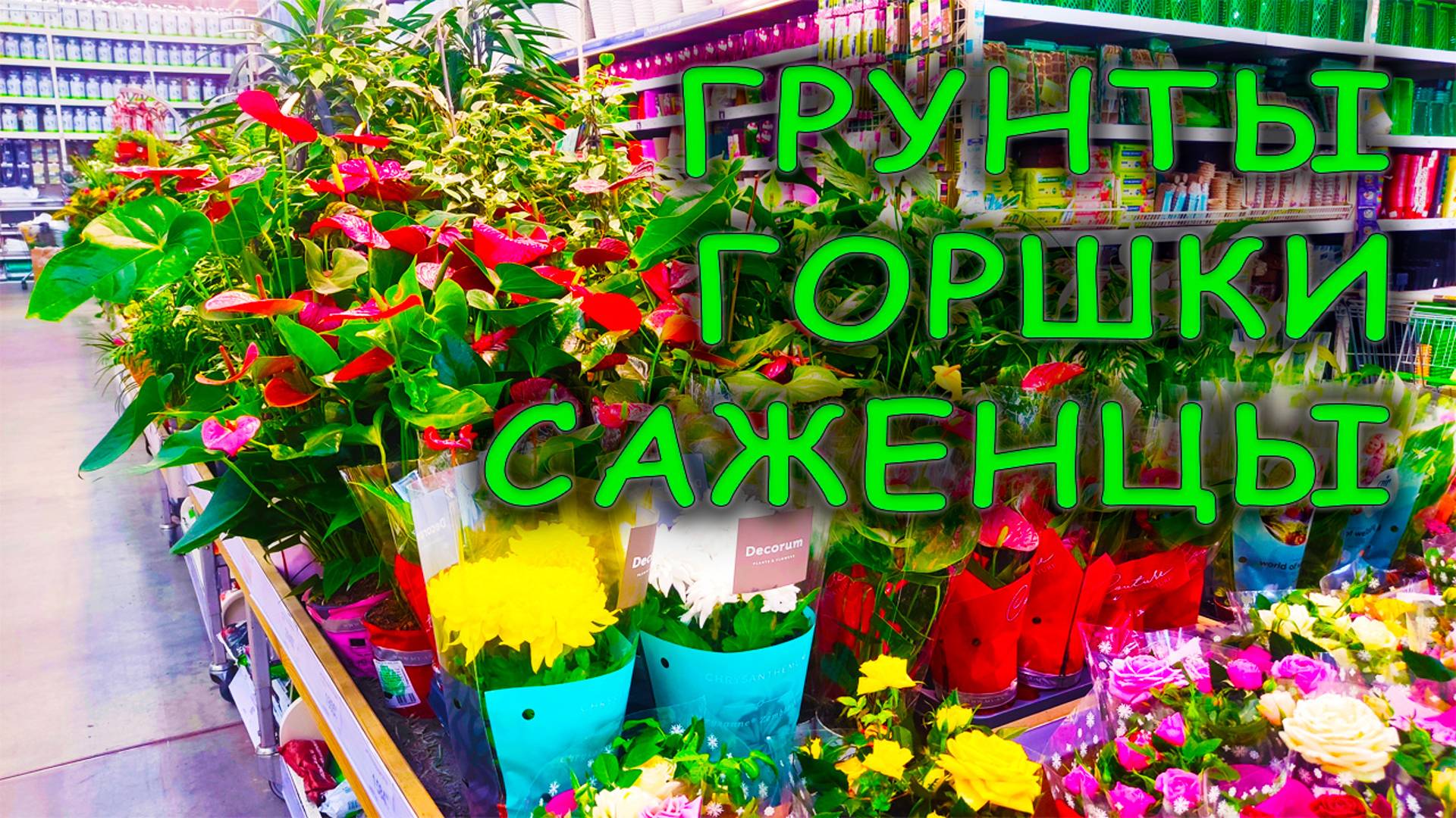 "Леруа Мерлен" стал "Лемана Про" 😲 Огромный выбор товаров для садоводов: семена, растения, горшки смотреть онлайн