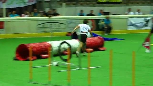 Tóth Csilla & Pimpa Team jumping FCI agility World Championship 2009. Dornbirn смотреть онлайн