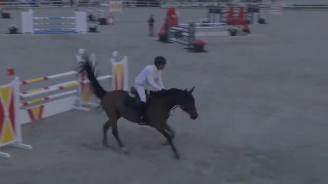 ZELLY - Luis Godino Cabanas - Bronze 4 - Valencia (31.10.2014) смотреть онлайн