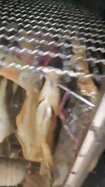 РЫБА ХОЛОДНОГО КОПЧЕНИЯ В КОПТИЛЬНЕ МОСКИТ смотреть онлайн