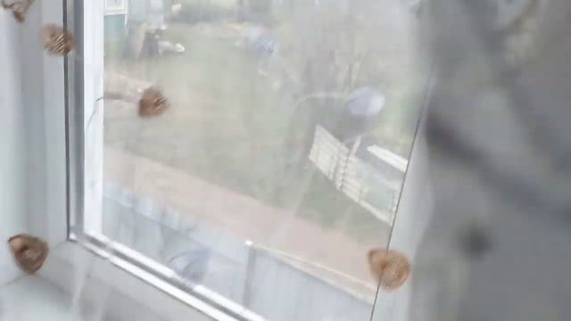 Гость залётный смотреть онлайн