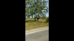 Дыши прямо на меня.. Своей влюбленностью