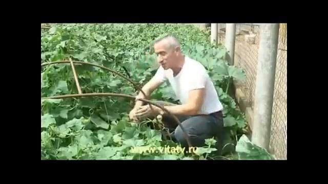 +100500 - Сладенький.mp4 смотреть онлайн