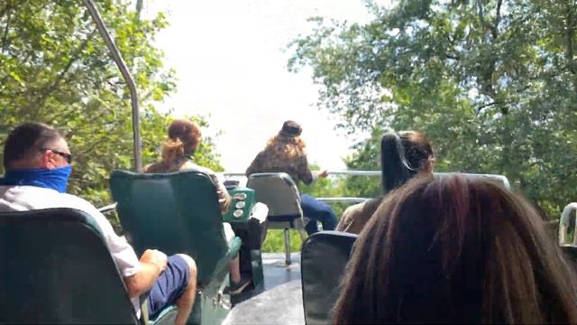 Gatorland in Orlando, Florida Alligator Theme Park Feeding, Zipline & More Sights смотреть онлайн