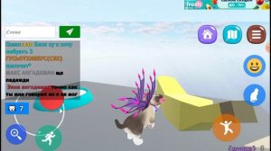 Посмотрите как я играю в кошка симулятор онлайн