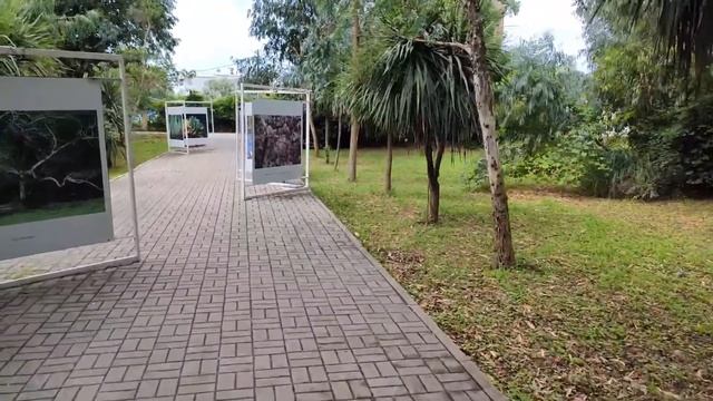 Адлер смотреть онлайн