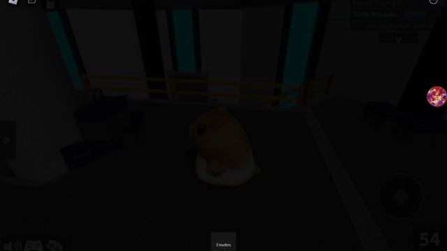 |ИГРАЮ В СКИНЕ ХОМЯКА *интересно*|CatAlina|Roblox| смотреть онлайн