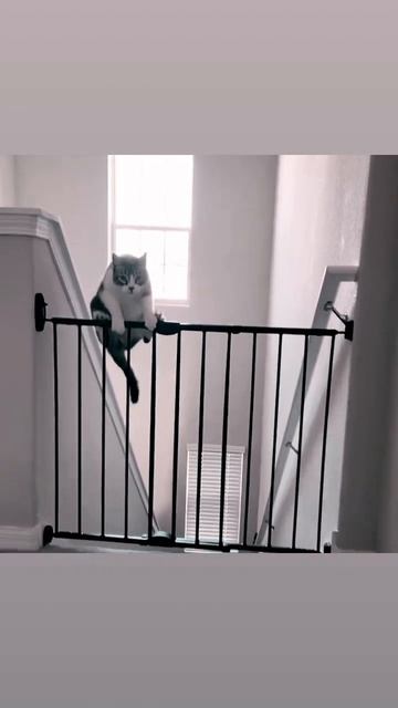 SUBSCRIBE! #Coffee #Churro смотреть онлайн