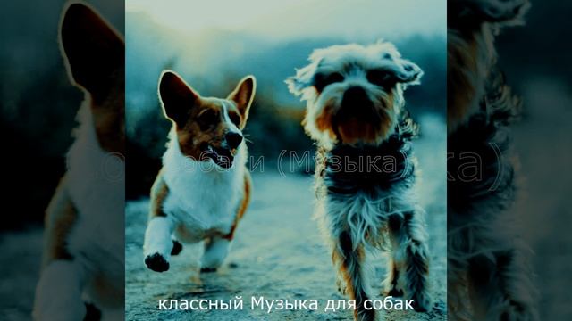 Атмосфера (Спящие собаки) смотреть онлайн