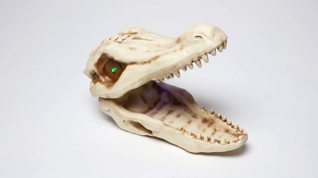 Light & Sound Alligator Skull Candy Dish смотреть онлайн