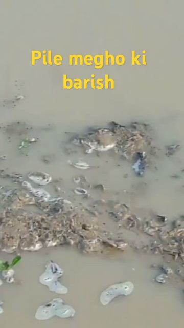 @ beatifull #shortvideo смотреть онлайн