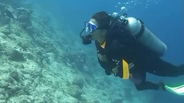 DIVING IN MALDIVES EURO DIVERS смотреть онлайн